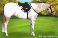 Horse Color:White Spotted Brown Pearl Dun Tobiano Near Fewspot 