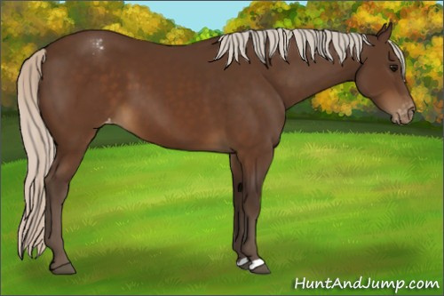 Horse Color:Silver Buckskin Varnish 