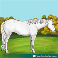 Horse Color:Platinum Perlino Onyx Snowcap 