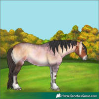 Horse Color:Bay Onyx 