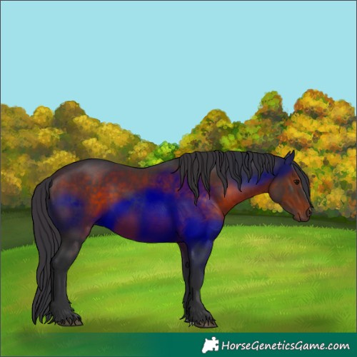 Horse Color:Brown 