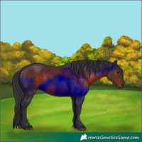 Horse Color:Brown 