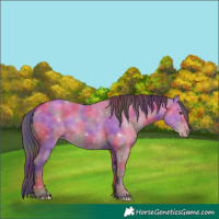 Horse Color:Nacre Classic Champagne Dun 