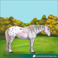 Horse Color:Nacre Watercolor Chocolate Bay Onyx Appaloosa 