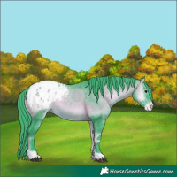 Horse Color:Watercolor Brown Onyx Appaloosa 