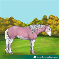 Horse Color:Watercolor Silver Amber Champagne Splash 