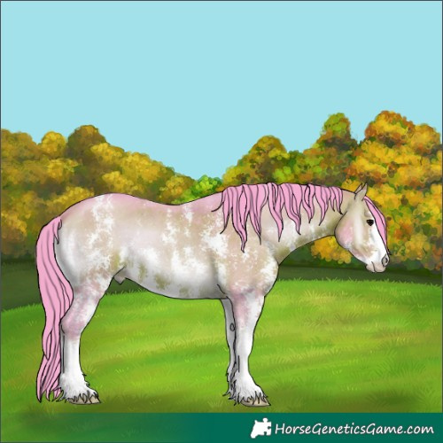 Horse Color:Watercolor Brown Onyx Sabino