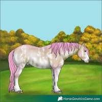 Horse Color:Watercolor Brown Onyx Sabino