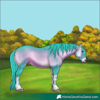 Horse Color:Watercolor Brown Onyx 