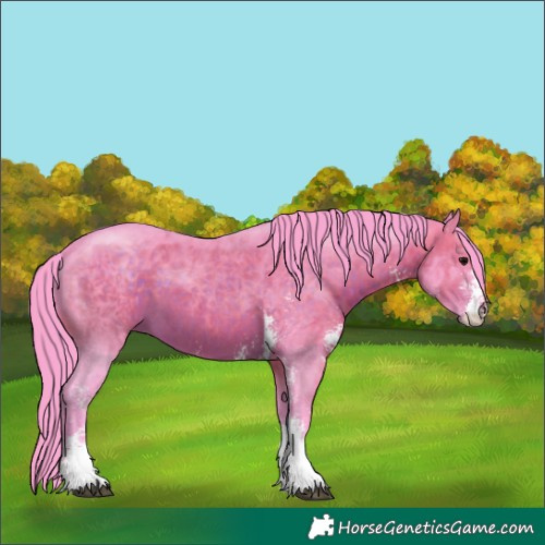 Horse Color:Watercolor Chocolate Brown Sabino