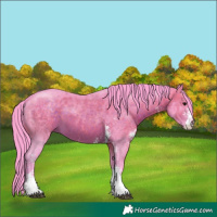 Horse Color:Watercolor Chocolate Brown Sabino 