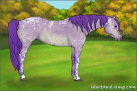 Horse Color:Watercolor Bay Ice 
