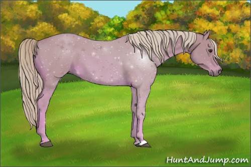 Horse Color:Watercolor Chestnut 