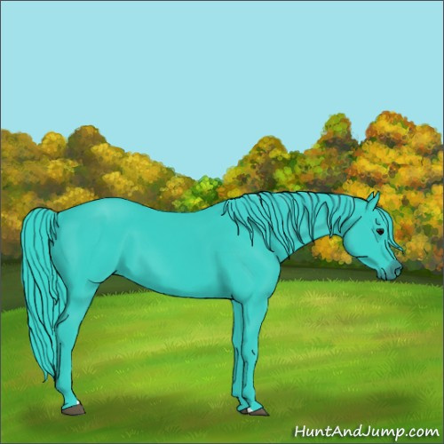 Horse Color:Watercolor Black 