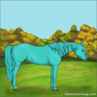 Horse Color:Watercolor Black 