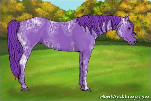 Horse Color:Watercolor Black Ice 