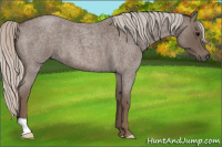 Horse Color:Silver Blue Roan 