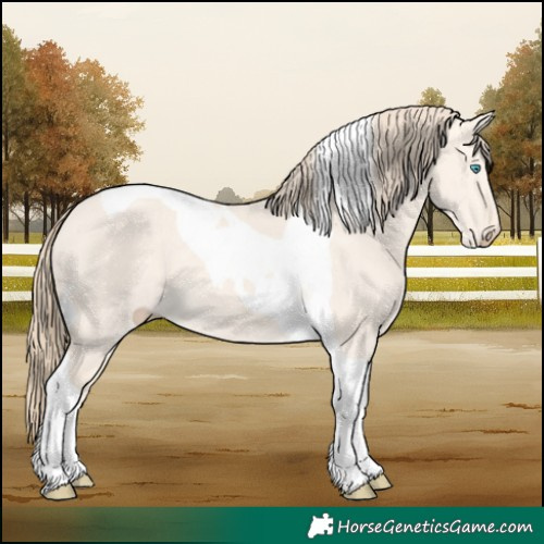 Horse Color:Perlino Dun Tobiano