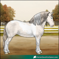 Horse Color:Perlino Dun Tobiano 