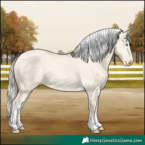 Horse Color:Cremello Dun Tobiano