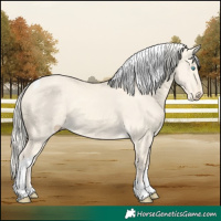 Horse Color:Cremello Dun Tobiano 