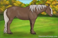 Horse Color:Silver Black