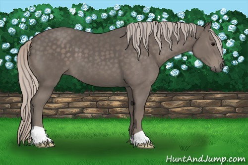 Horse Color:Silver Black 