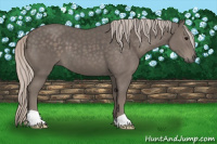 Horse Color:Silver Black