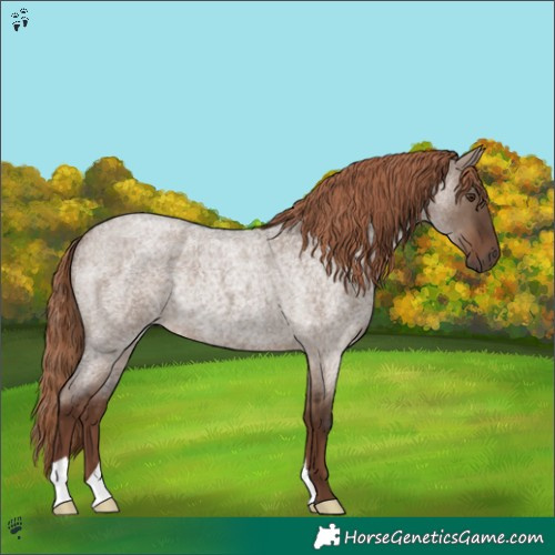 Horse Color:Liver Red Dun Roan Rabicano
