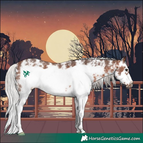 Horse Color:Silver Brown Sabino Frame 