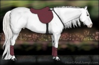 Horse Color:Silver Smoky Black Appaloosa 