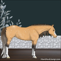 Horse Color:Buckskin Snowflake Varnish