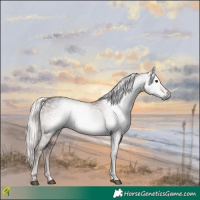 Horse Color:Gray Platinum Chocolate Palomino