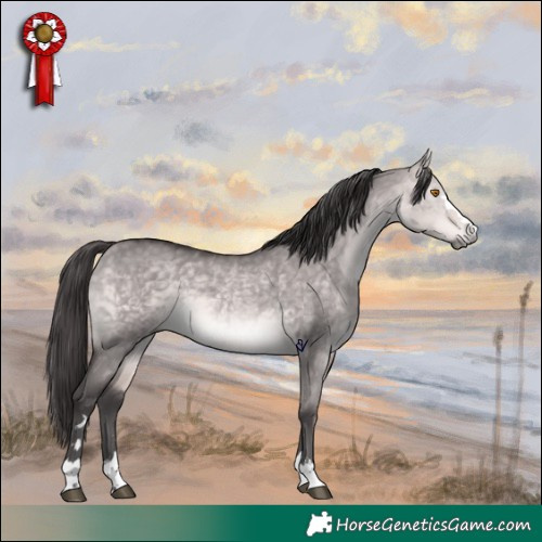 Horse Color:Platinum Buckskin Dun 