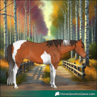 Horse Color:Bay Tobiano 