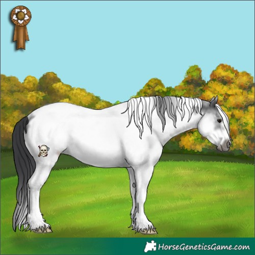 Horse Color:White Spotted Black Tobiano Frame Rabicano