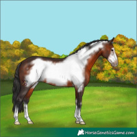 Horse Color:Brown Frame 