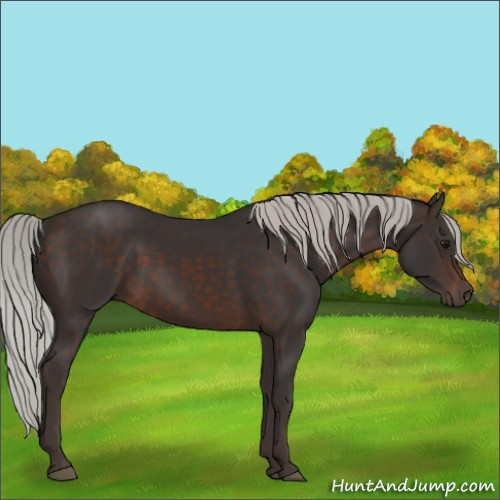 Horse Color:Silver Brown 