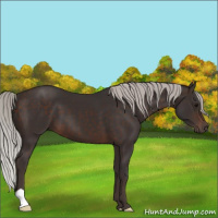 Horse Color:Silver Brown 