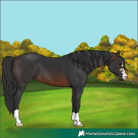 Horse Color:Brown 