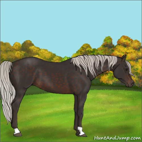 Horse Color:Silver Brown