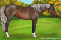 Horse Color:Silver Brown 