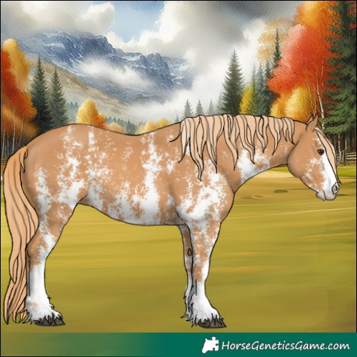 Horse Color:Chestnut Sabino 