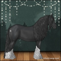 Horse Color:Black Tobiano 
