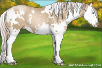 Horse Color:White Spotted Chocolate Palomino Pearl Sabino Splash