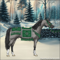 Horse Color:Grullo Roan 