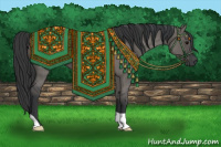 Horse Color:Grullo Roan