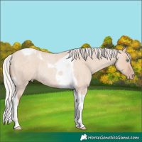 Horse Color:Silver Classic Champagne Roan Dun Tobiano Rabicano