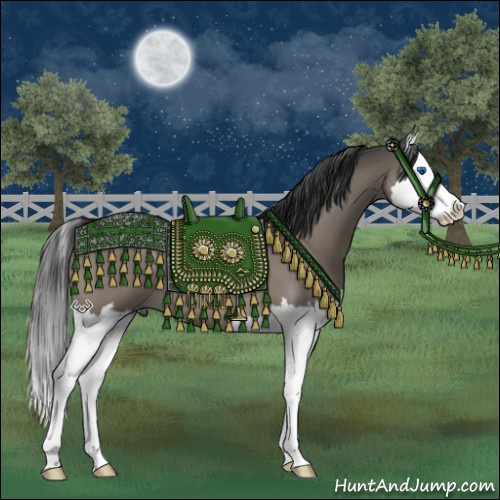 Horse Color:Brown Dun Splash 