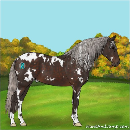 Horse Color:White Spotted Silver Brown 